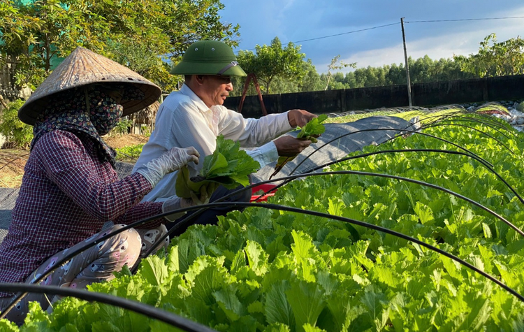 Đẩy mạnh sản xuất, nâng cao giá trị sản phẩm nông nghiệp