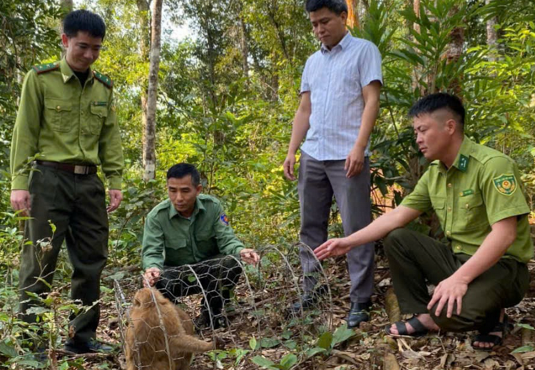 Chú trọng phát triển công nghiệp sinh học, cải thiện chất lượng môi trường