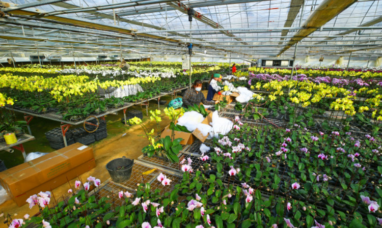 Sơn La: Ứng dụng công nghệ, thích ứng biến đổi khí hậu