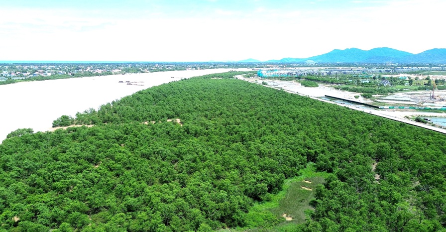 Nghệ An triển khai Chương trình chống sa mạc hóa