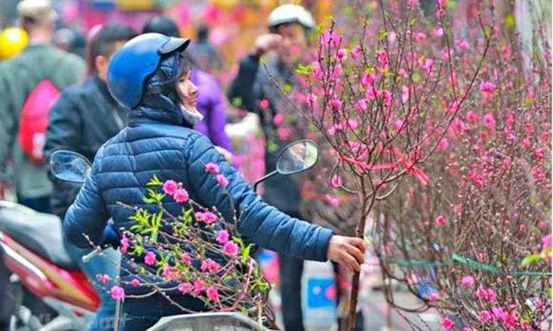 Tết Nguyên đán 2026 lạnh hơn, đề phòng mưa kèm rét đậm, rét hại