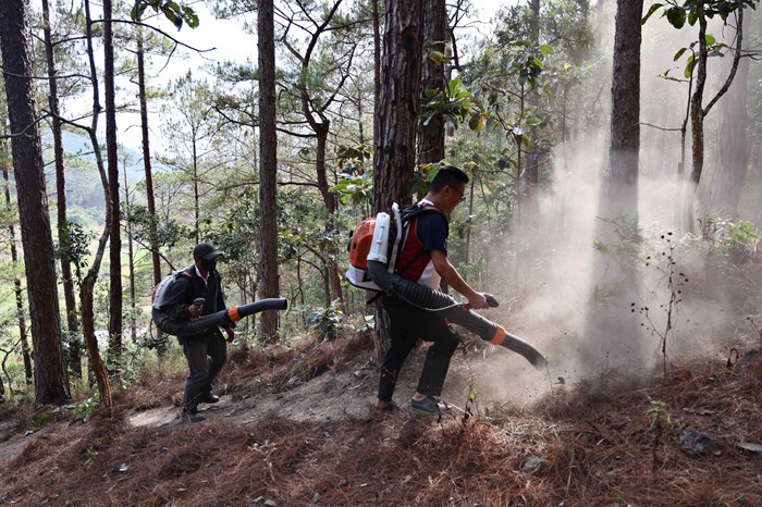 Lâm Đồng siết chặt quản lý, phòng chống cháy rừng dịp Tết