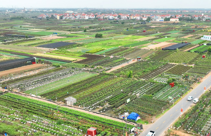 Hà Nội khuyến khích dùng thuốc bảo vệ thực vật sinh học, phân hữu cơ trong nông nghiệp