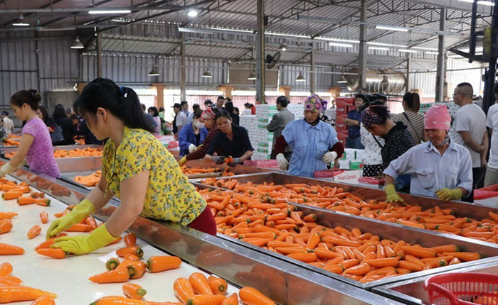 Đẩy mạnh hoạt động sản xuất kinh doanh sau kỳ nghỉ Tết Bính Ngọ 2026