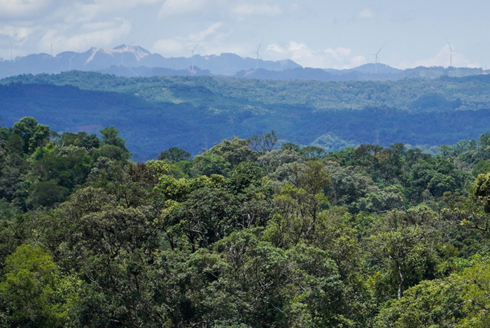 Duy trì tỷ lệ che phủ rừng trên 42%, thu gom xử lý chất thải đô thị mức 95%