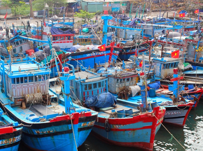 Quản lý tàu cá và ngư dân xuất, nhập bến trên nền tảng VneID