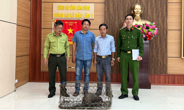 Người dân ở Lâm Đồng tự nguyện giao nộp động vật quý hiếm