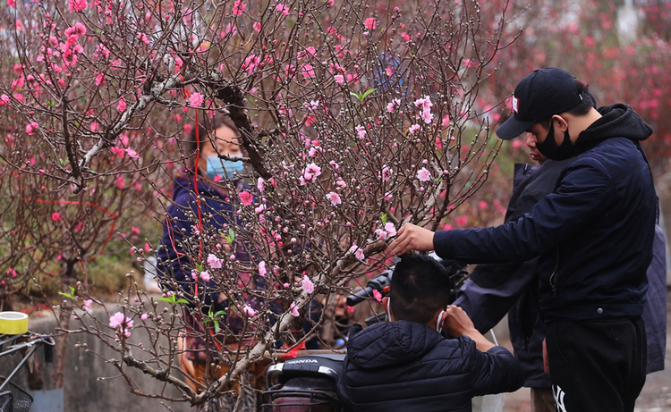 Thời tiết ngày 12/2: Bắc Bộ nhiều nơi mưa phùn, Nam Bộ nắng ráo