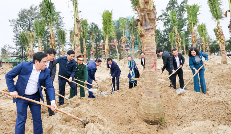 Nghệ An: Tổ chức Tết trồng cây Xuân Bính Ngọ