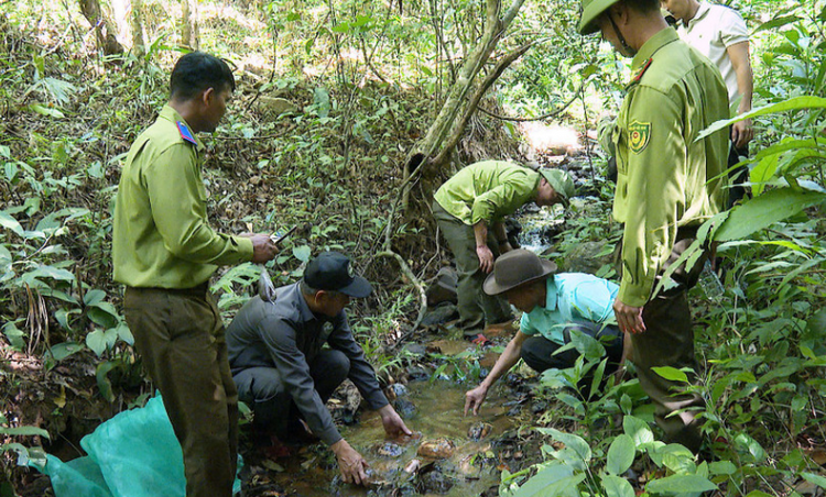20 cá thể động vật quý hiếm được thả về môi trường tự nhiên
