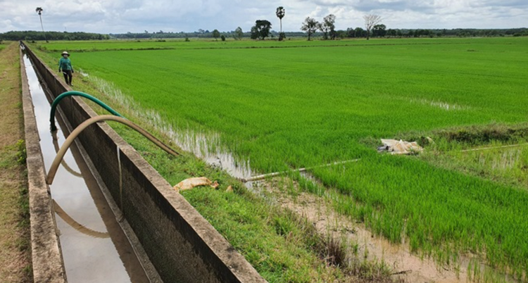 Kiểm soát, bảo vệ môi trường nước trong mùa khô hạn