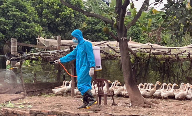 Đoài Phương tổng vệ sinh, khử trùng môi trường dịp Tết Nguyên đán
