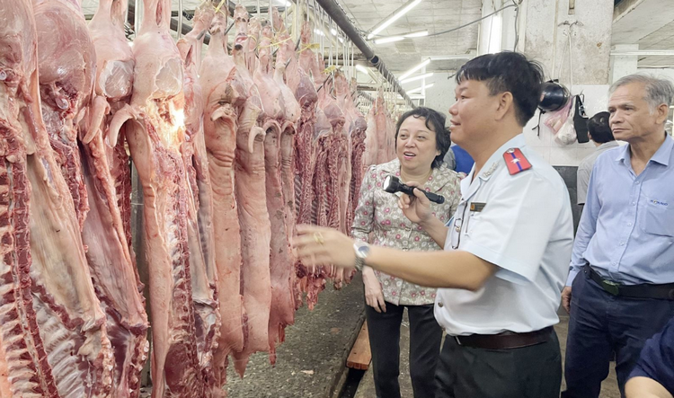 Chủ động kiểm soát dịch bệnh động vật, bảo đảm nguồn cung dịp Tết Bính Ngọ