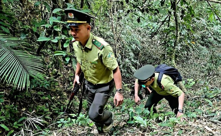 Đồng Nai siết chặt công tác phòng cháy rừng