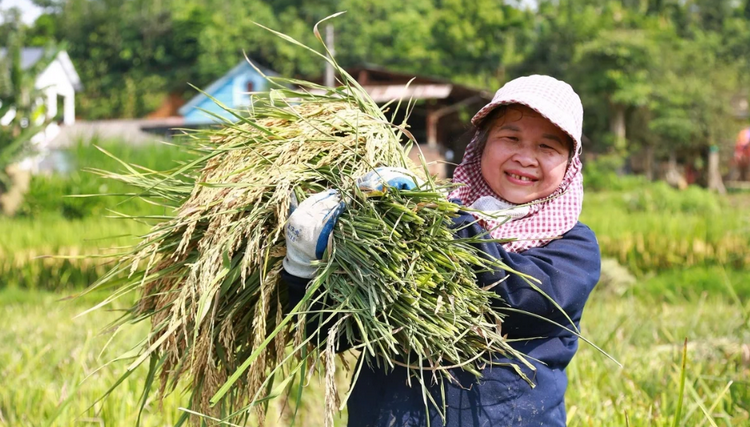 Thúc đẩy sản xuất nông nghiệp giảm phát thải, thân thiện môi trường