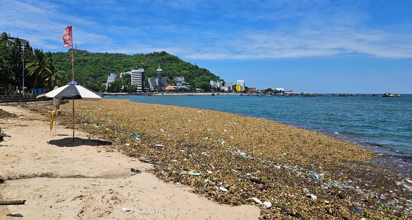 TP. HCM lắp phao ngăn rác trôi dạt vào các bãi biển ở Vũng Tàu