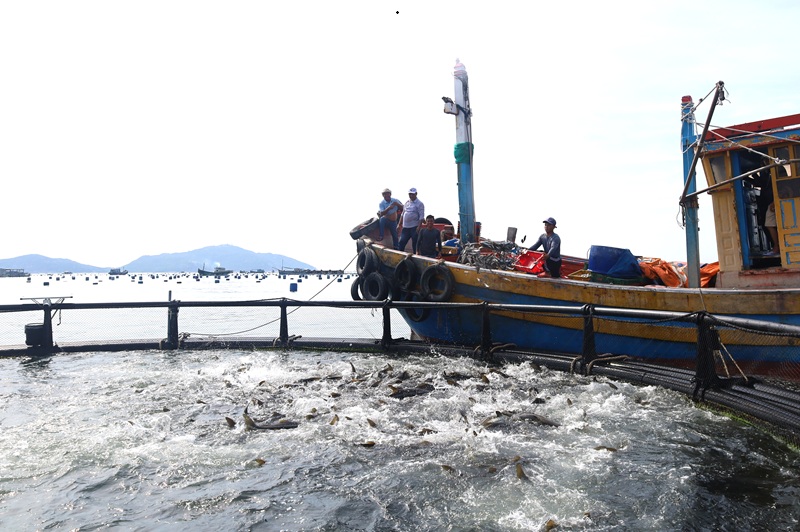 Khánh Hòa ứng dụng khoa học - công nghệ trong quản lý, khai thác tài nguyên biển