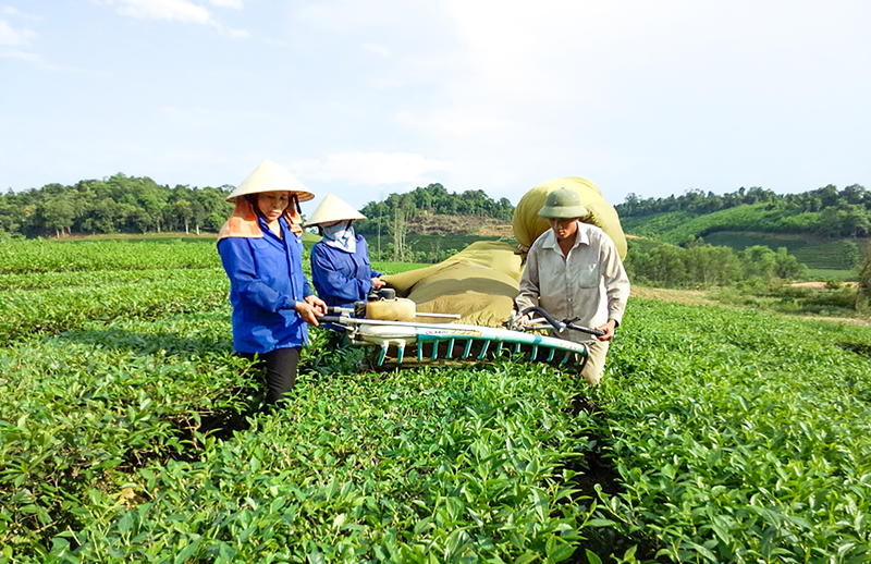 Nghệ An hoàn thiện hạ tầng, nền tảng số phục vụ hoạt động xúc tiến thương mại