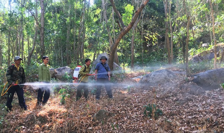 An Giang triển khai phương án phòng chống cháy rừng trong cao điểm mùa khô