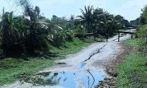 Xu hướng, diễn biến thời tiết năm 2026