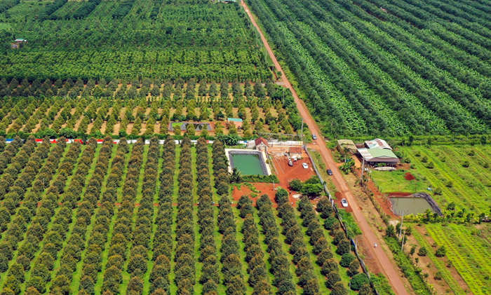 Chia sẻ khó khăn với nông dân trước biến động toàn cầu