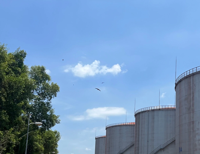 Chính phủ lập Tổ công tác bảo đảm an ninh năng lượng