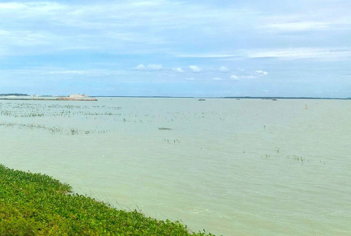 Tập trung xây dựng, triển khai các chương trình phục hồi những dòng sông cạn kiệt, ô nhiễm