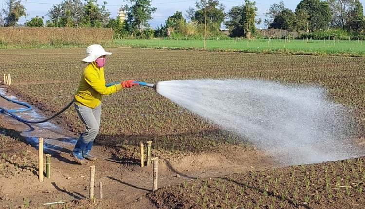 Chủ động điều tiết nguồn nước, giảm thiểu tối đa thiệt hại do hạn hán