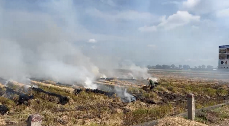 Từ khói bụi đến bầu trời “trong”