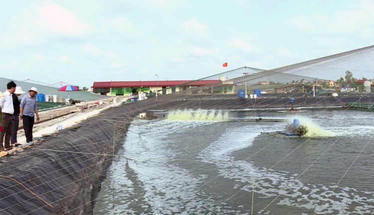 Kiểm soát chất thải, bảo vệ môi trường từ hoạt động thủy sản
