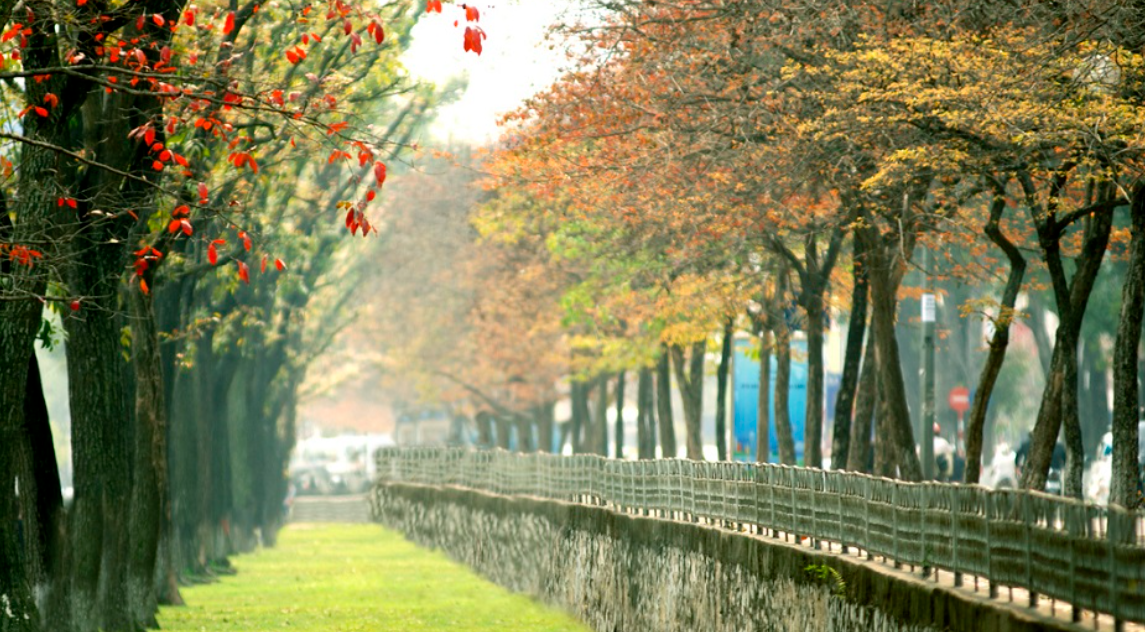 Thời tiết ngày 23/3: Bắc Bộ sáng sớm có sương mù, Nam Bộ nắng nóng cục bộ