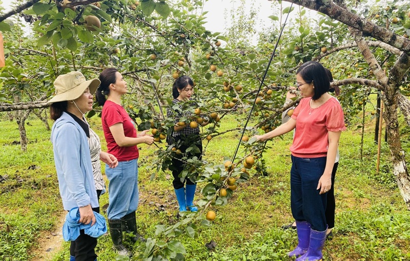 Lạng Sơn: Đẩy mạnh nghiên cứu, chuyển giao khoa học kỹ thuật trong lĩnh vực nông nghiệp