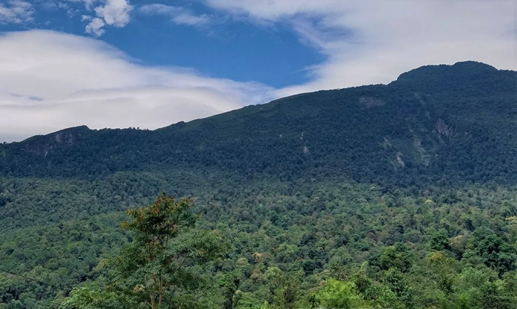 Lào Cai: Khu bảo tồn thiên nhiên Bát Xát trở thành Vườn quốc gia