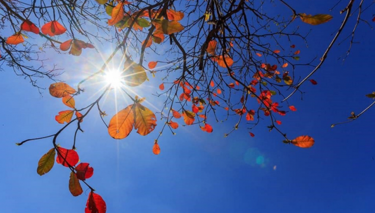 Thời tiết ngày 26/3: Bắc Bộ tăng nhiệt, Nam Bộ nắng nóng