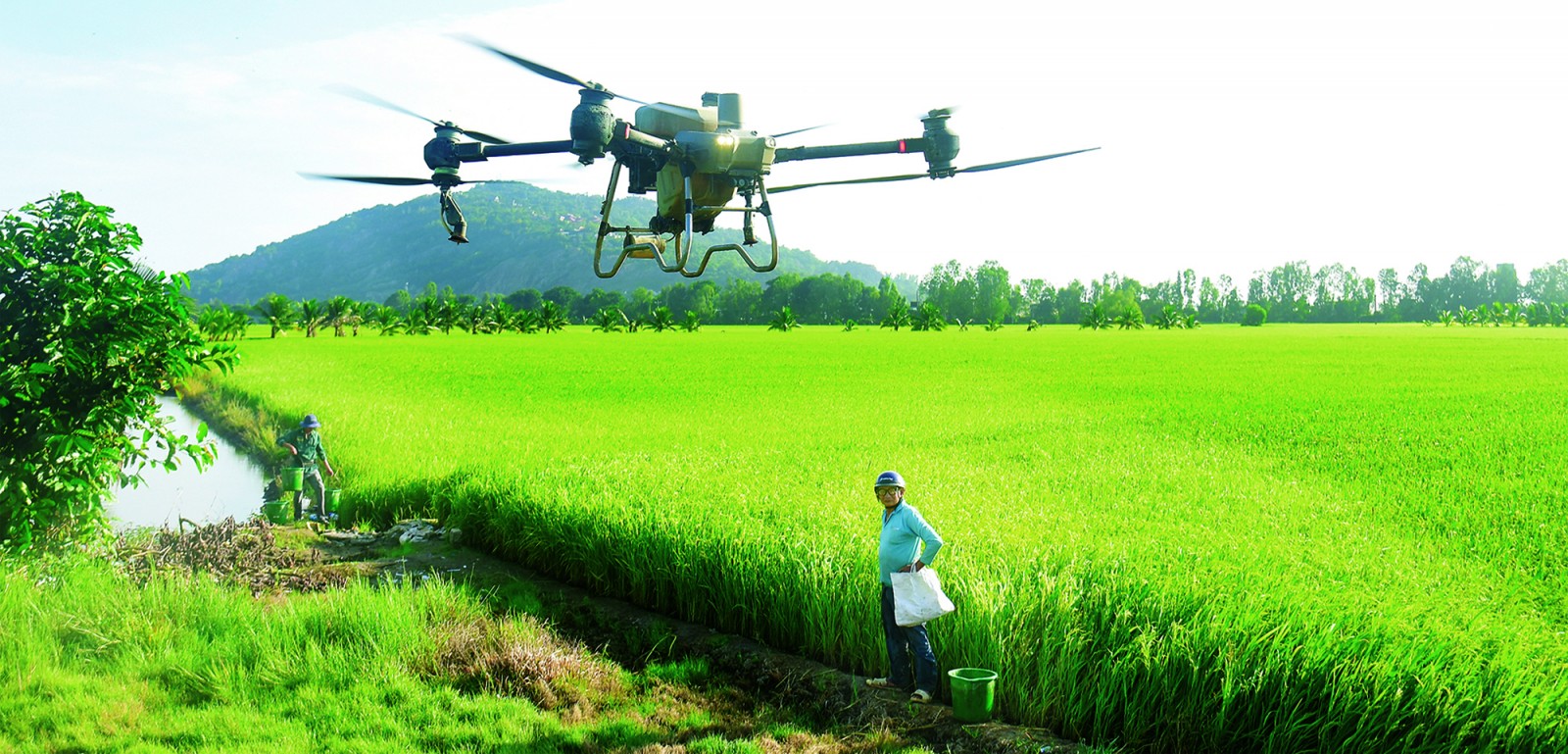 Nông nghiệp An Giang tăng tốc chuyển đổi số