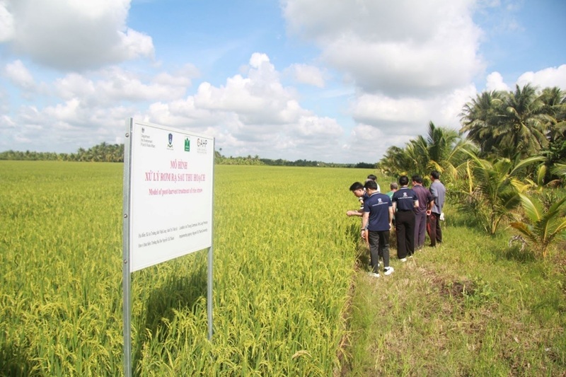 Nhân rộng mô hình sản xuất nông nghiệp xanh, thân thiện với môi trường 