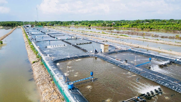 Cà Mau tăng cường kiểm soát, ngăn ngừa ô nhiễm môi trường trong nuôi trồng thủy sản