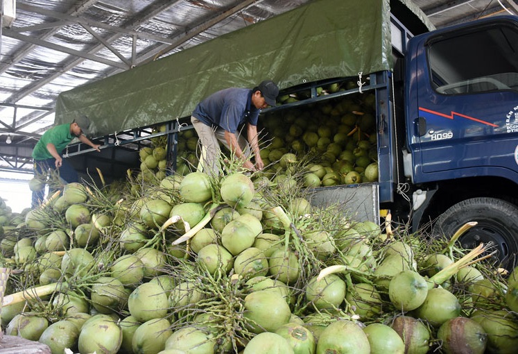 Xuất khẩu rau quả hướng tới mục tiêu đạt 10 tỷ USD