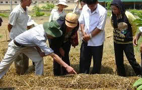 Nâng cao hiệu quả quản lý nhà nước về lao động nông thôn