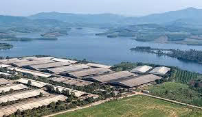 Phát triển mô hình sản xuất xanh trong ngành sữa