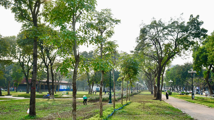 Hà Nội đặt chỉ tiêu diện tích cây xanh đô thị tối thiểu 10m2/người giai đoạn 2026-2030