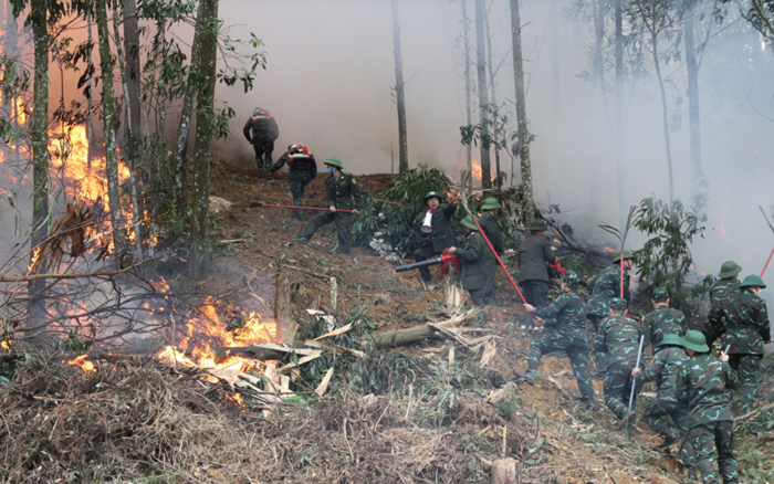 Nâng cao năng lực phối hợp giữa các lực lượng tham gia chữa cháy rừng