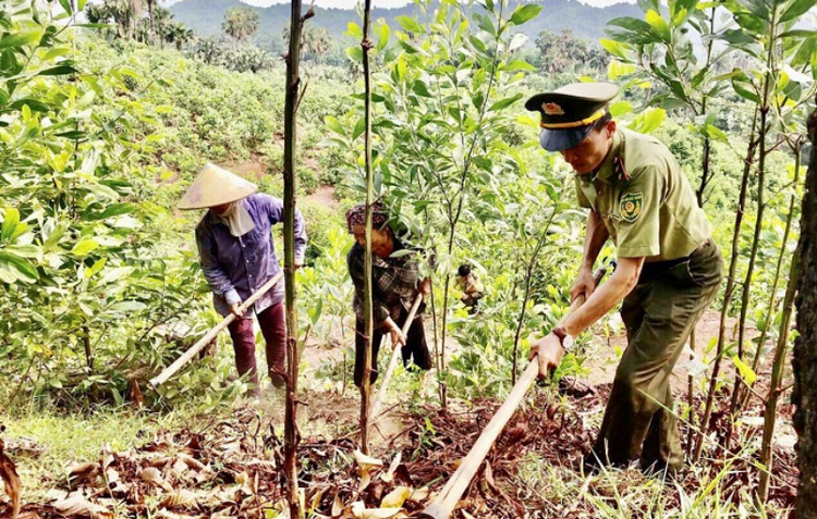 Bắc Ninh: Gần 30 nghìn hecta rừng được cấp chứng chỉ quản lý bền vững