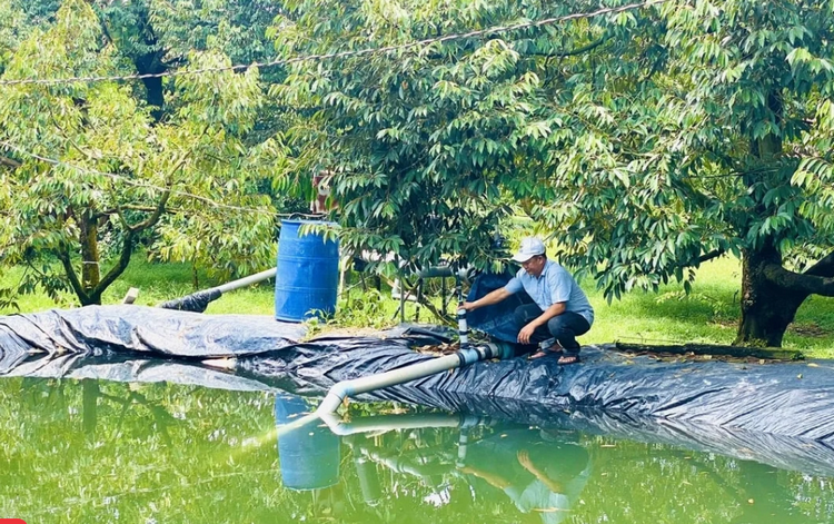 Đồng Tháp: Sản xuất nông nghiệp thích ứng biến đổi khí hậu
