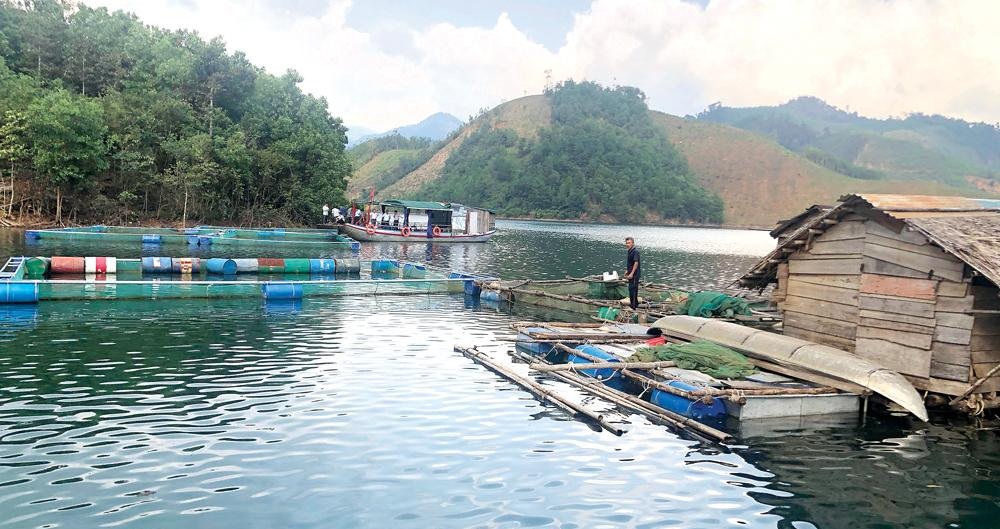 Tăng cường quan trắc, cảnh báo môi trường tại vùng nuôi trồng thủy sản