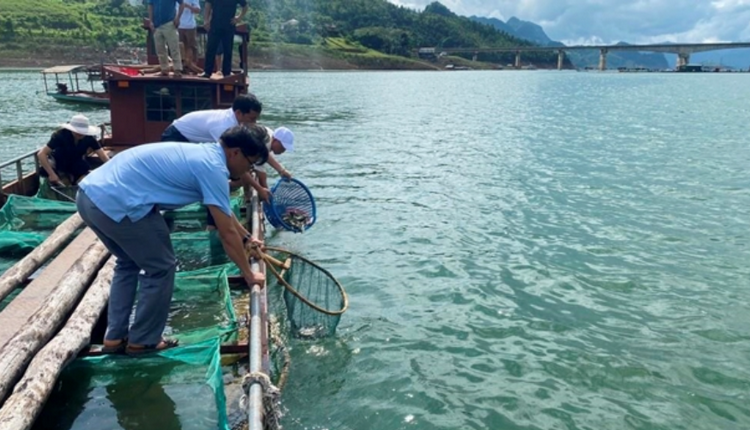 Sơn La: Phát huy lợi thế, bảo tồn nguồn lợi thuỷ sản bền vững