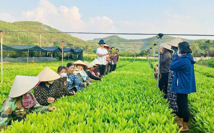 Khoa học-công nghệ, chuyển đổi số trở thành động lực phát triển kinh tế-xã hội bền vững