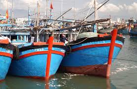 Xử lý dứt điểm đường dây môi giới đưa tàu cá đi khai thác bất hợp pháp