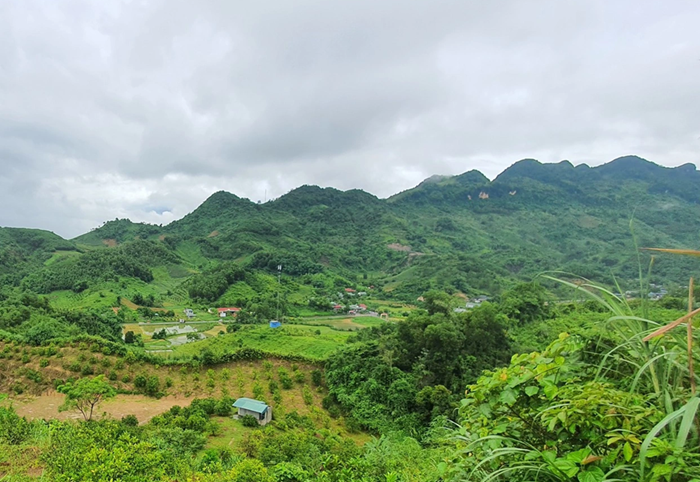 Lập điều chỉnh Quy hoạch lâm nghiệp phải đảm bảo tính bền vững