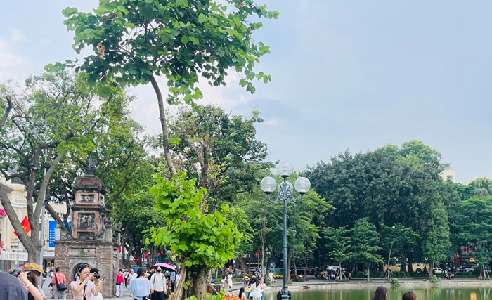 Hà Nội nâng chất lượng cảnh quan khu vực công cộng như thế nào?